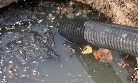 backed up septic