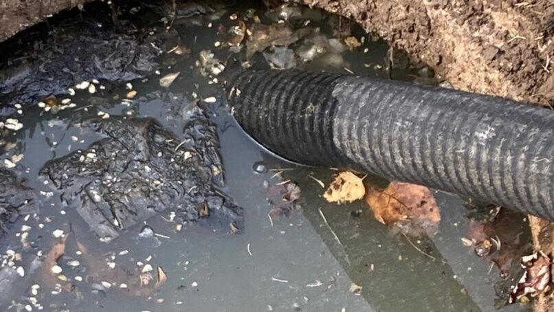 backed up septic