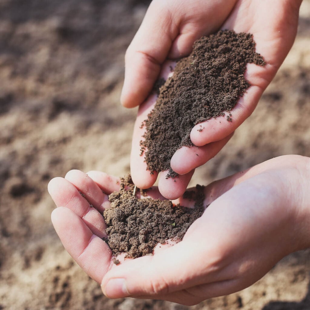 soil testing services